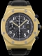 Audemars Piguet Royal Oak Offshore - Image 1