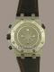 Audemars Piguet - Royal Oak Offshore "Polaris" 1300 ex. Image 2