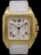 Cartier - Santos 100 Image 1