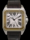 Cartier - Santos 100