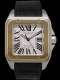 Cartier - Santos 100 Image 1