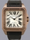 Cartier - Santos 100 Image 1