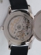 Jaeger-LeCoultre - Master Control Geographic Platinum 250ex Image 4