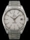Omega - Seamaster Aqua Terra Co-Axial 