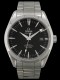 Omega - Seamaster Aqua Terra Co-Axial 