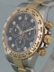 Rolex - Daytona r&eacute;f.116503 Image 3