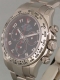 Rolex - Daytona réf.116509 Image 2