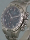 Rolex - Daytona réf.116509 Image 2