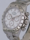 Rolex - Daytona réf.116520 Chromalight APH Dial Image 2