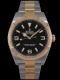 Rolex - Explorer 36mm réf.124273 Image 1