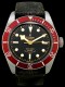 Tudor Black Bay réf.79220R - Image 1