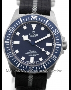 Tudor Pelagos FXD ref.25707B/22 - Image 4